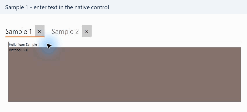 Switching to Sample 2 and back preserves the text, background color, and instance identifier of Sample 1.